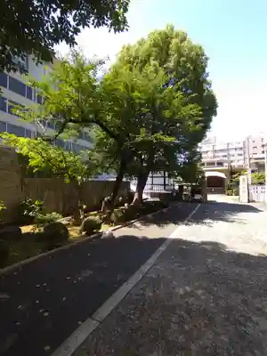 金地院(東京都)