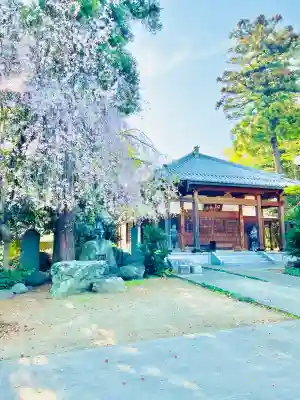 南光寺(笠懸不動尊)の{uncategorized: "未分類", other: "その他", undefined: "問題あり", building: "その他建物", grave: "お墓", sacred_gate: "鳥居", guardian: "狛犬", statue: "像", buddha: "仏像", history: "歴史", nature: "自然", garden: "庭園", animal: "動物", pagoda: "塔", temizu: "手水舎", mountain_gate: "山門・神門", sanctuary: "本殿・本堂", subordinate: "末社・摂社", art: "芸術", scenery: "景色", jizo: "地蔵", ema: "絵馬", goshuin: "御朱印", omikuji: "おみくじ", items: "授与品その他", amulet: "お守り", goshuincho: "御朱印帳", eats: "食事", festival: "お祭り", votive_dance: "神楽", shichigosan: "七五三参", wedding: "結婚式", experience: "体験その他", initially: "初詣", around: "周辺", anti_infection: "感染症対策"}