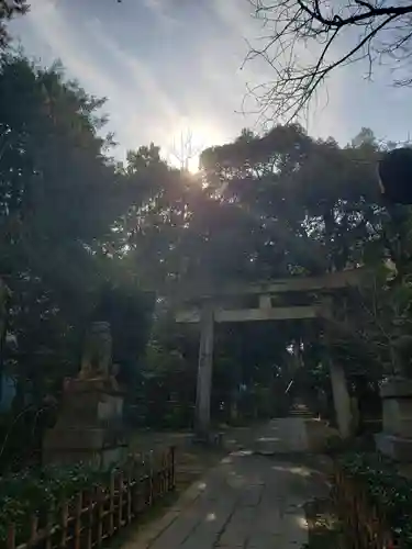 赤坂氷川神社の鳥居