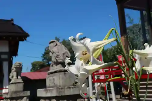 大鏑神社の景色