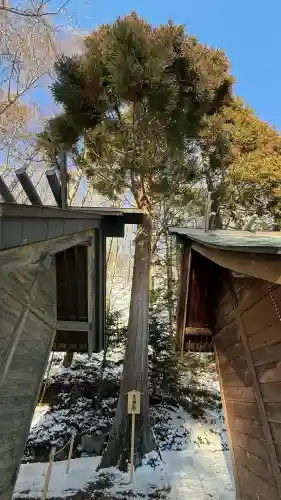 高宮神社の{uncategorized: "未分類", other: "その他", undefined: "問題あり", building: "その他建物", grave: "お墓", sacred_gate: "鳥居", guardian: "狛犬", statue: "像", buddha: "仏像", history: "歴史", nature: "自然", garden: "庭園", animal: "動物", pagoda: "塔", temizu: "手水舎", mountain_gate: "山門・神門", sanctuary: "本殿・本堂", subordinate: "末社・摂社", art: "芸術", scenery: "景色", jizo: "地蔵", ema: "絵馬", goshuin: "御朱印", omikuji: "おみくじ", items: "授与品その他", amulet: "お守り", goshuincho: "御朱印帳", eats: "食事", festival: "お祭り", votive_dance: "神楽", shichigosan: "七五三参", wedding: "結婚式", experience: "体験その他", initially: "初詣", around: "周辺", anti_infection: "感染症対策"}