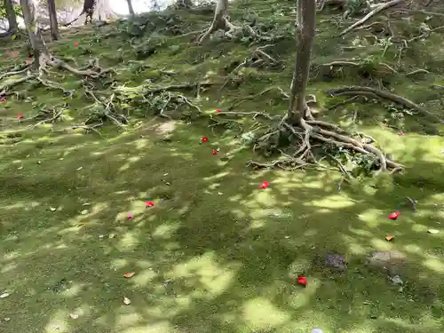 城南宮(京都府)