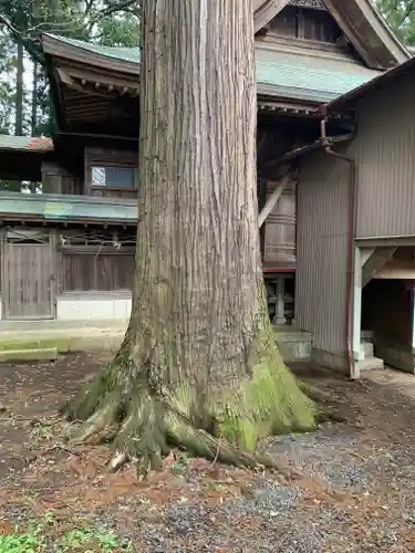 素鵞神社の自然