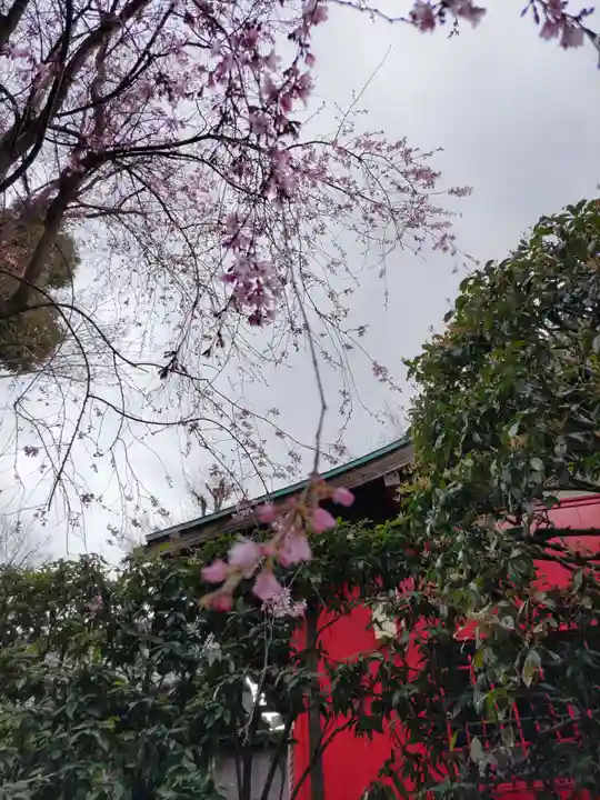 宝勝山 南藏院 蓮光寺の末社・摂社