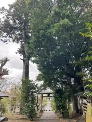 菅原神社(千葉県)