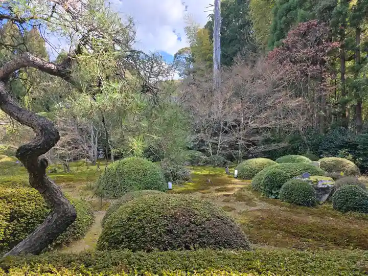 雲龍院(京都府)