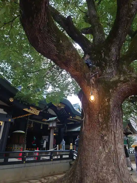 穴八幡宮(東京都)