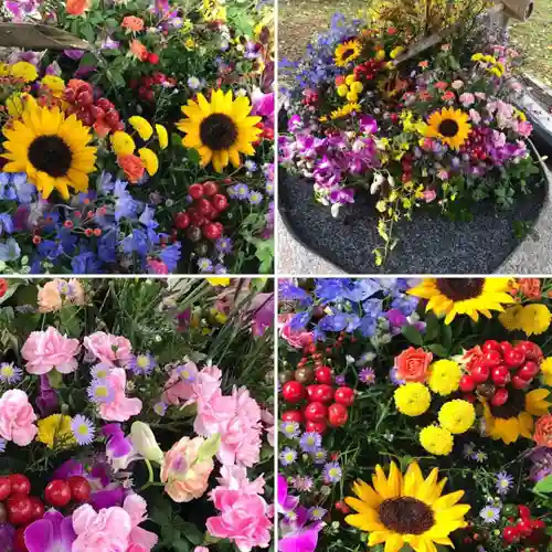 当別神社の手水舎