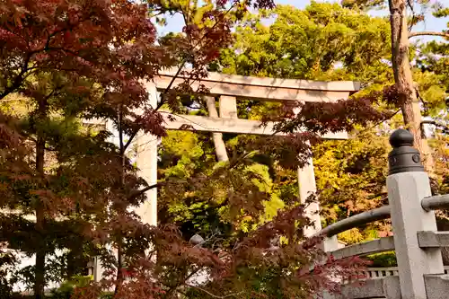 寒川神社の鳥居