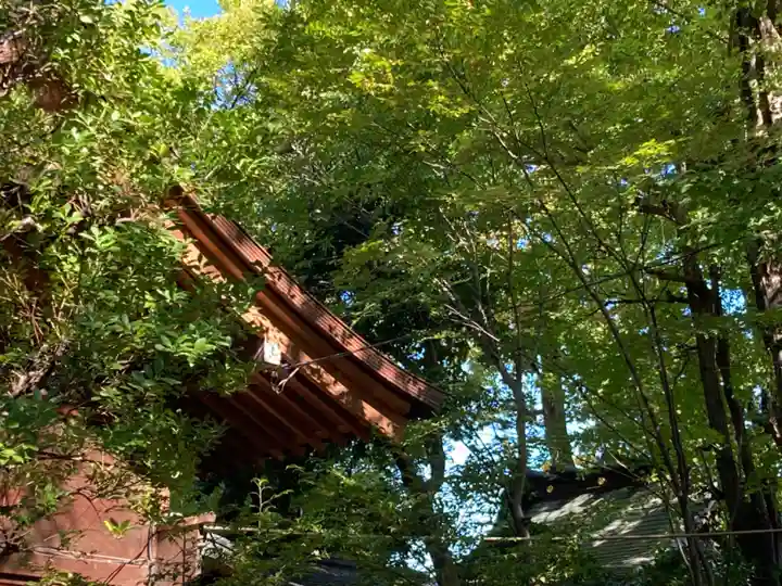 仲町氷川神社(東京都)