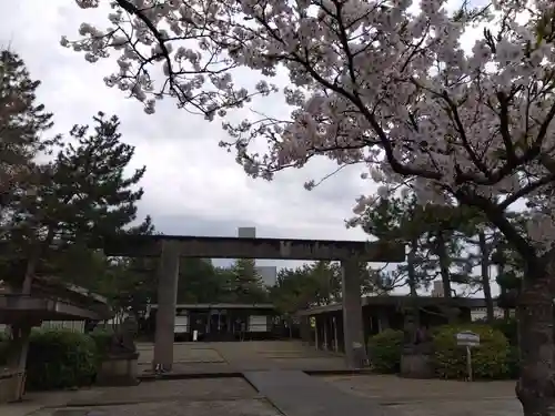 福井神社(福井県)