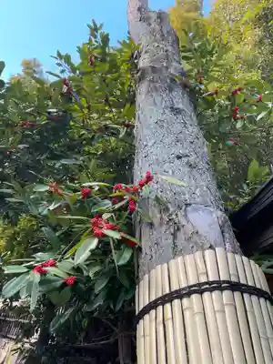 清荒神清澄寺(兵庫県)