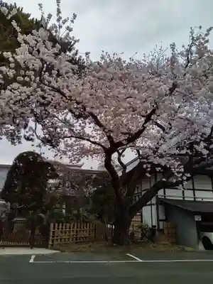 東秀院(宮城県)