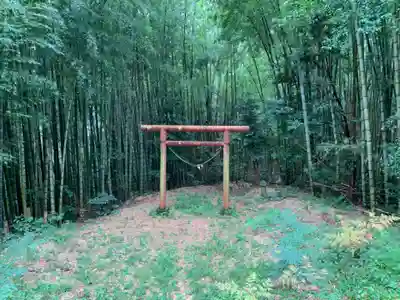 琴平神社の鳥居