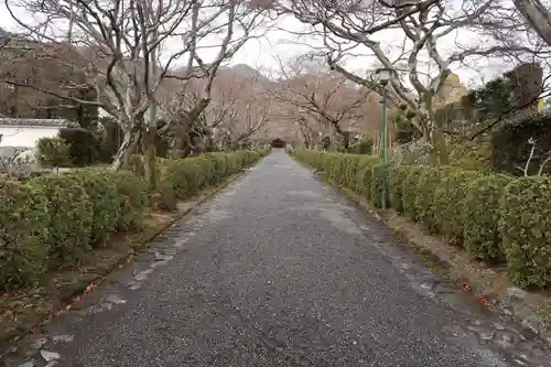 西教寺(滋賀県)