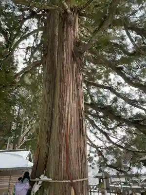 戸隠神社中社(長野県)