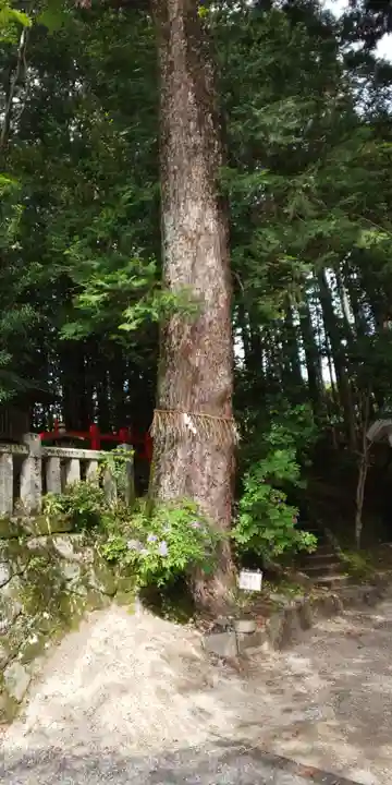 八大神社(京都府)