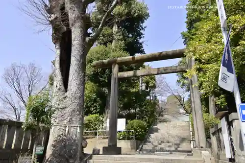 所澤神明社(埼玉県)