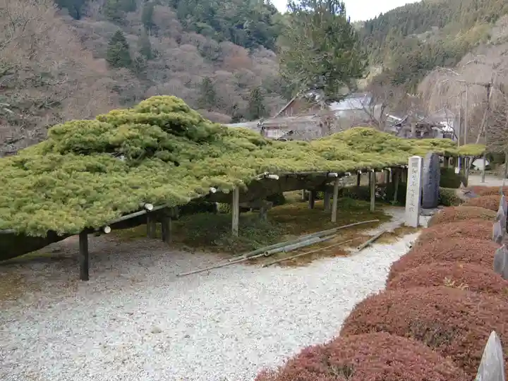 善峯寺(京都府)