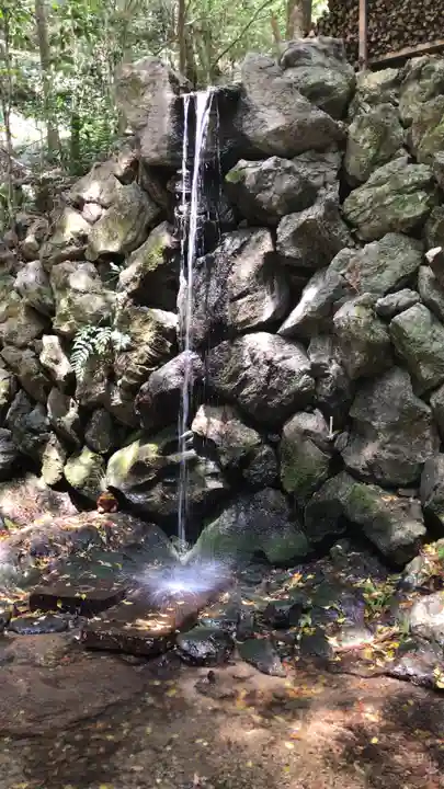 天の岩戸神社の自然