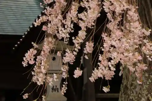 堂山王子神社の庭園