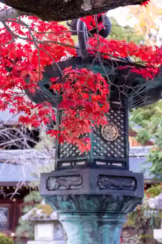 今宮神社(京都府)