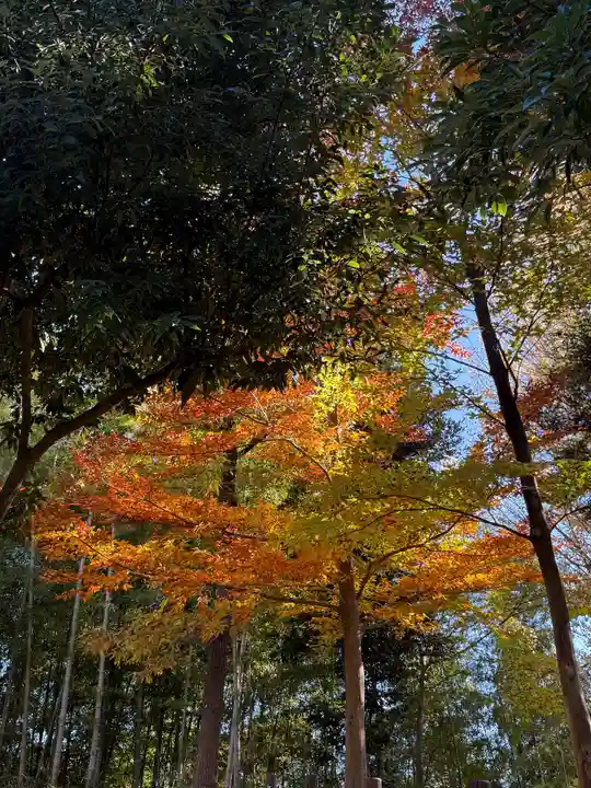 子安宮(東京都)