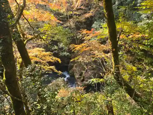 元伊勢天岩戸神社(京都府)