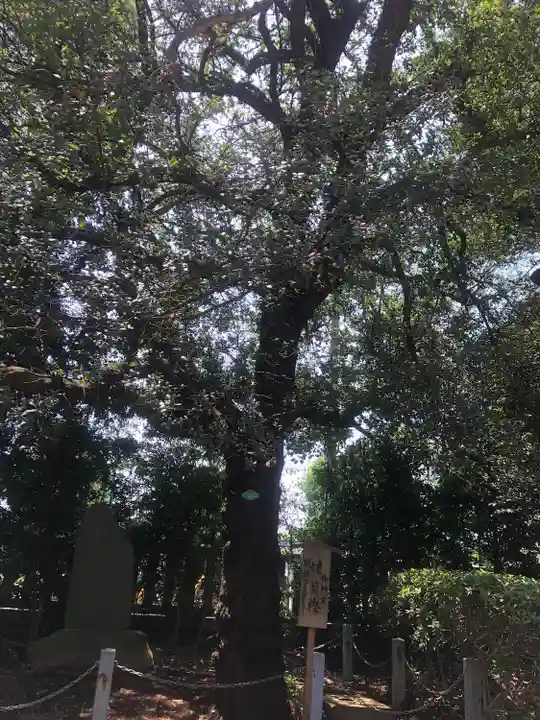 山王稲穂神社(東京都)
