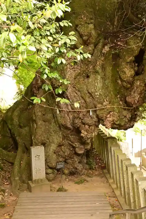楽法寺(雨引観音)(茨城県)
