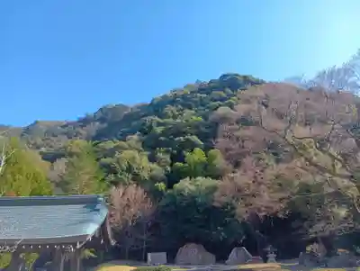 岐阜護國神社(岐阜県)