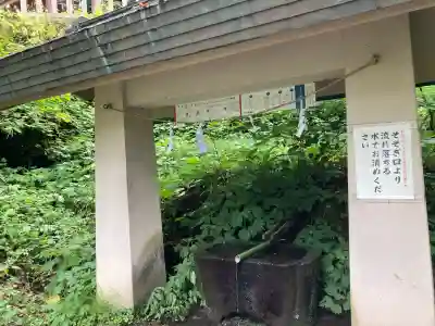戸隠神社奥社(長野県)