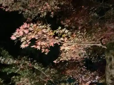 教林坊(滋賀県)