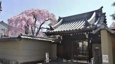 成願寺の山門・神門