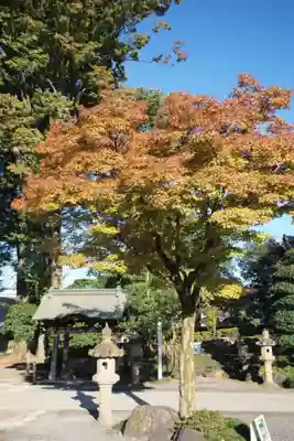 蓮花院の手水舎