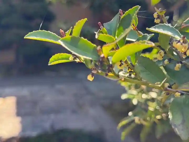 西方山極楽寺(岐阜県)