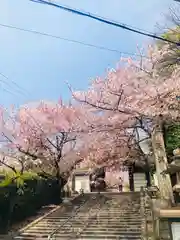 道明寺天満宮の周辺