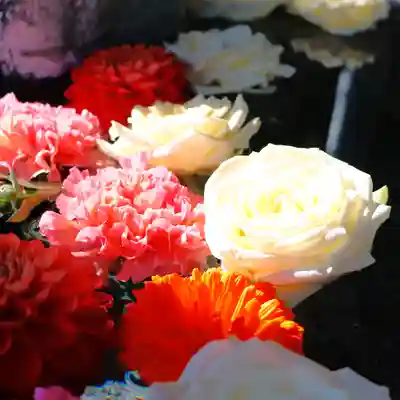 三津厳島神社の手水舎