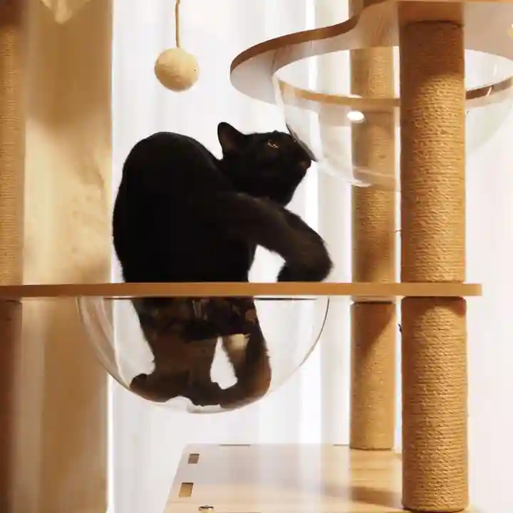 天王山 安楽寺(福井県)