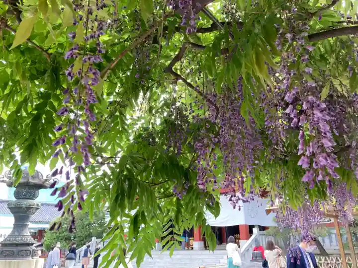 日枝神社の庭園