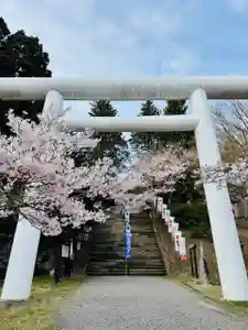 土津神社|こどもと出世の神さま(福島県)(2026年04月14日(火) 16時53分58秒投稿)