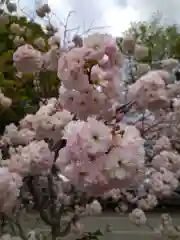 仁和寺(京都府)