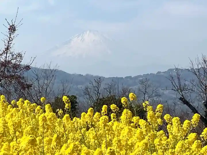 浅間神社(神奈川県)