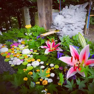 滑川神社 - 仕事と子どもの守り神の手水舎