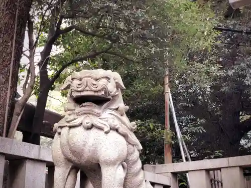 渋谷氷川神社の狛犬