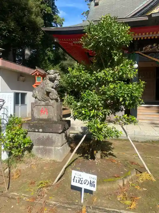 山倉大神(千葉県)