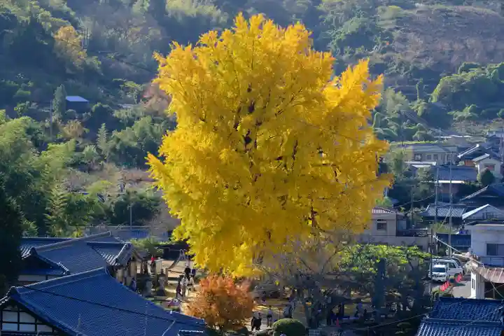 丹生酒殿神社の自然