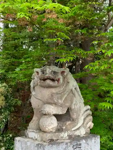 明石神社の狛犬