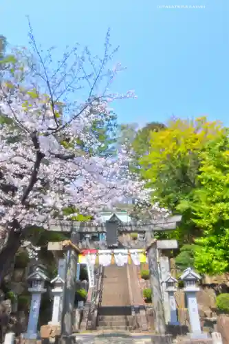 師岡熊野神社(神奈川県)