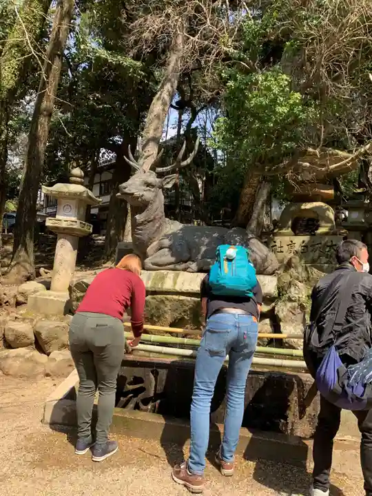 春日大社(奈良県)